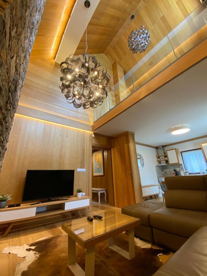 Vila Tara Zabljak  Ngoại thất bức ảnh